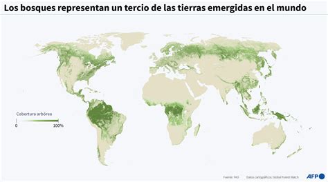 Mapa de los bosques gestionados por Faber-Castell en Brasil
