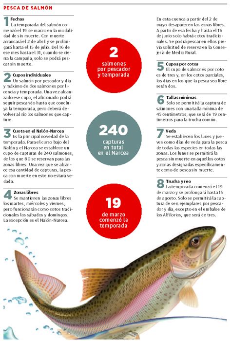Horario de pesca del salmón
