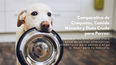 Diferencias entre croquetas y cromesquis