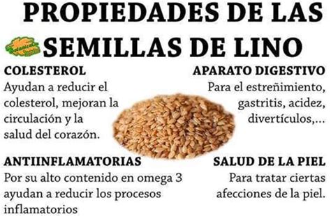 Beneficios de las semillas de lino molidas para la salud