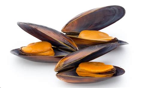 Infografía sobre los beneficios de los mejillones y las algas