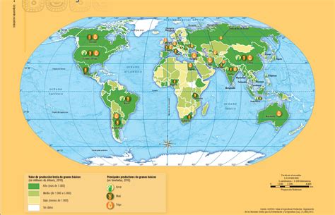 Mapa de las principales regiones productoras de arroz del mundo