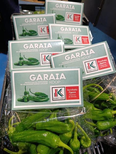 Ilustración de un pimiento de Gernika con sus dimensiones