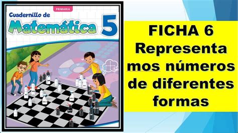 Diferentes formas de bases de poliespán