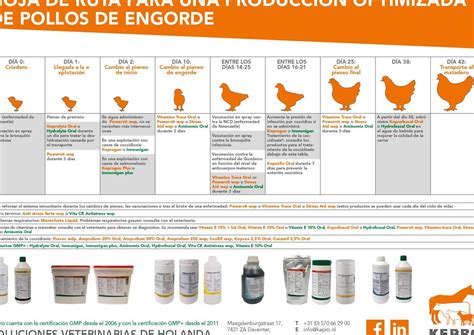 Gráfico de rendimiento de pollos de engorde