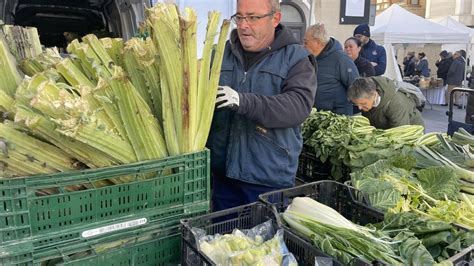 Alcachofas frescas y setas de cardo en un mercado