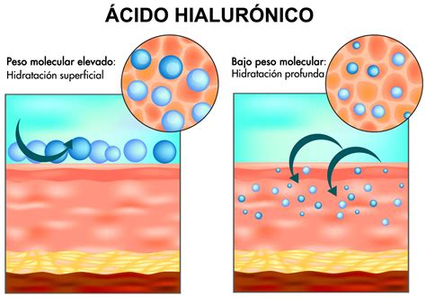 Estructura del cabello y acción del ácido hialurónico