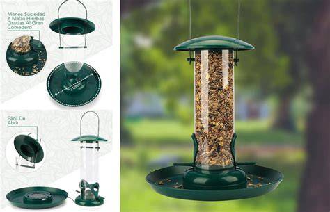 Tipos de comederos para aves