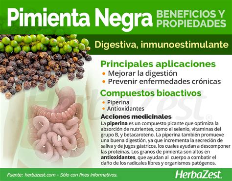 Infografía: Beneficios de la pimienta negra para la salud