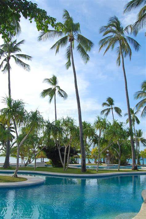 Cocoteros en Filipinas