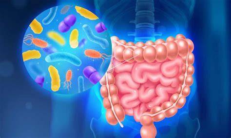 Microbioma intestinal ilustrado