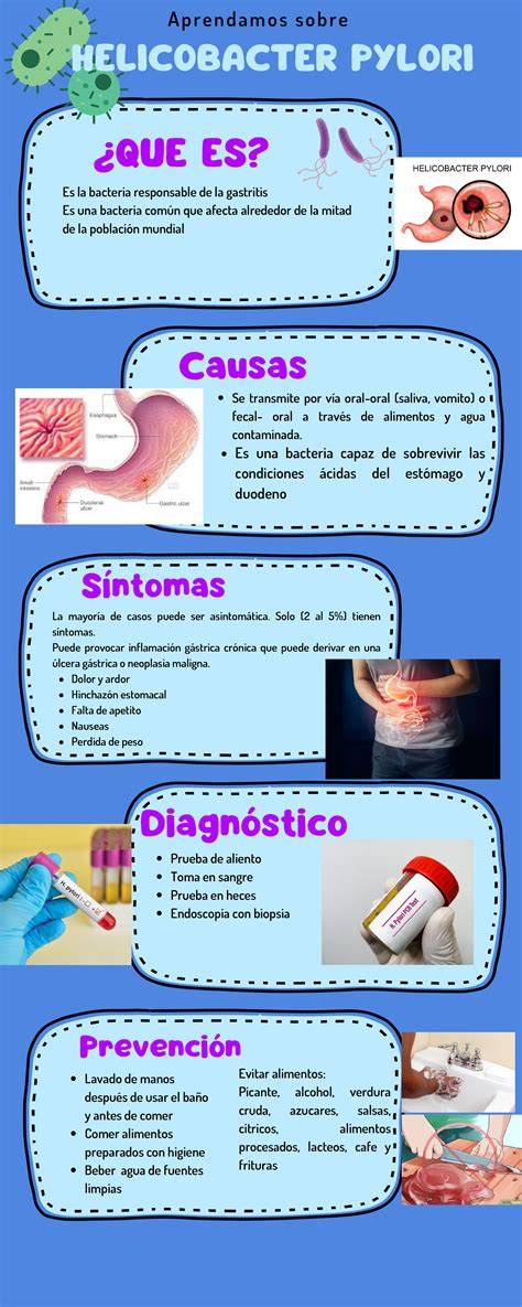 Infografía sobre la bacteria Helicobacter pylori y sus efectos