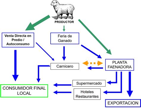 Esquema del ciclo productivo del cordero