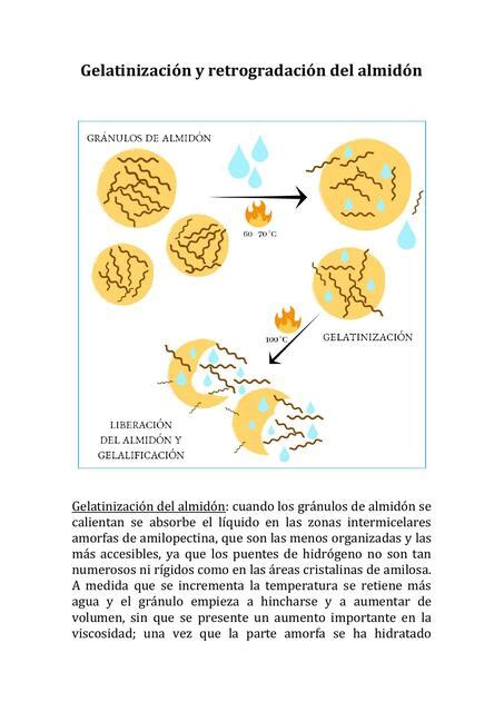 Proceso de gelatinización del agua de tomate