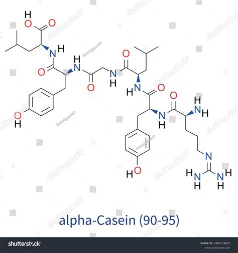 Estructura molecular de la caseína