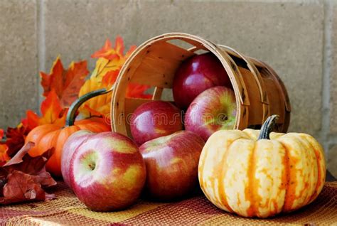 Calabazas y manzanas de otoño