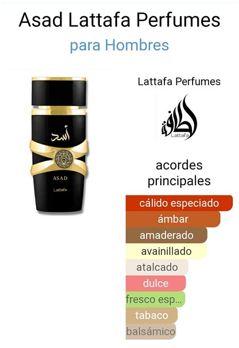 Infografía detallando las notas olfativas de Lattafa Asad