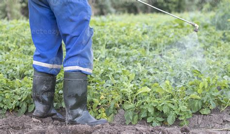 Agricultor aplicando fertilizante con Lactobacillus en cultivos