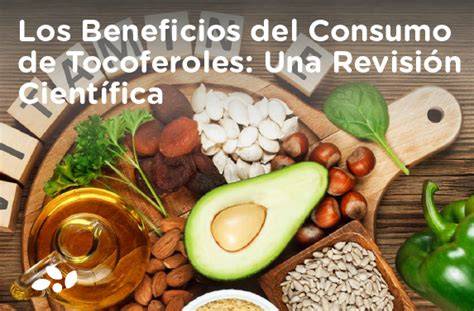 Infografía sobre los beneficios de los tocoferoles en alimentos