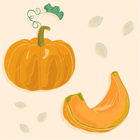 Ilustración de una calabaza entera y cortada, mostrando su pulpa naranja.