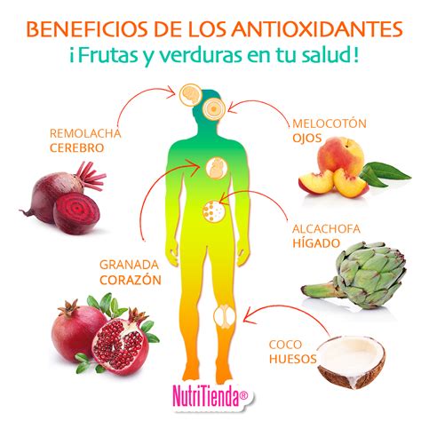 Esquema mostrando los beneficios de los antioxidantes para la salud celular.