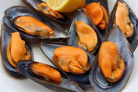 Mejillones gallegos frescos en una batea