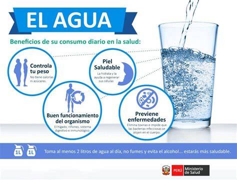 Infografía comparativa de consumo de agua entre alcachofas estándar y de bajo consumo