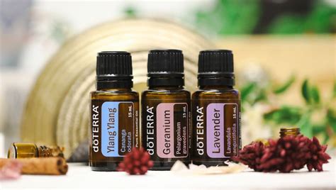 Aceites esenciales populares para cocina