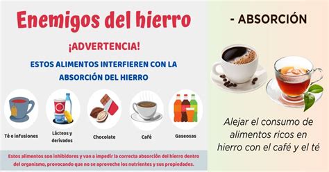 Infografía sobre alimentos que inhiben y potencian la absorción de hierro