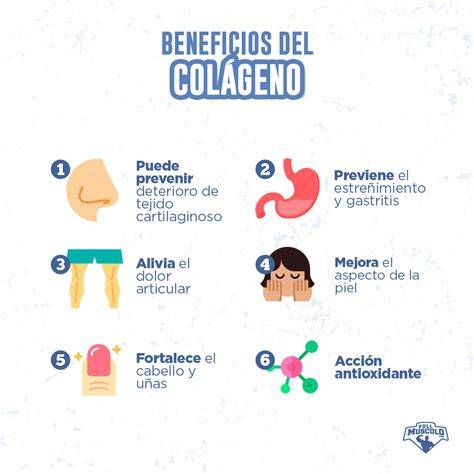 Beneficios del colágeno en perros