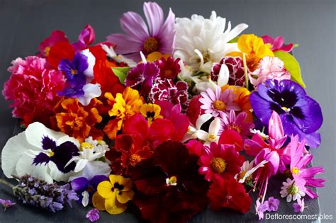 Variedad de flores comestibles de azúcar y oblea