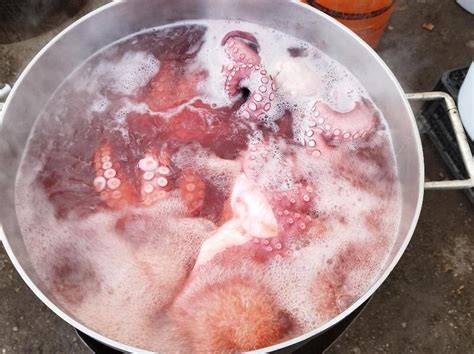 Pulpo cociéndose