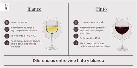 Vino tinto y blanco recomendados para maridar callos