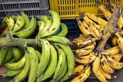 Plátanos verdes en el mercado