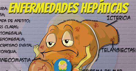 Diagrama de las principales enfermedades hepáticas estudiadas