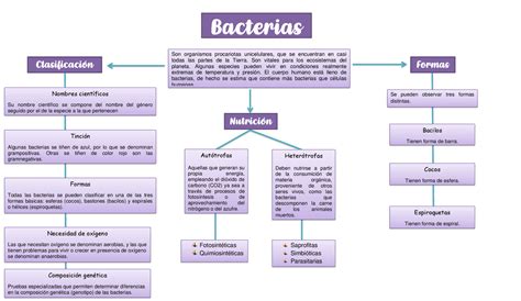 Esquema de las principales bacterias en huevos en mal estado y cómo llegan