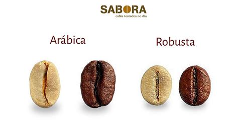 Granos de café arábica y robusta