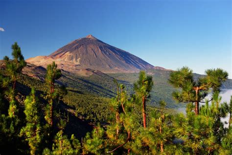 Paisaje volcánico de Tenerife con el Teide al fondo