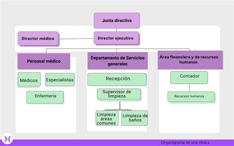 Esquema de las especialidades musicales