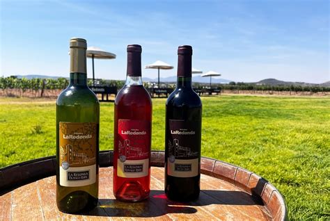 Viñedos de la D.O. Alicante