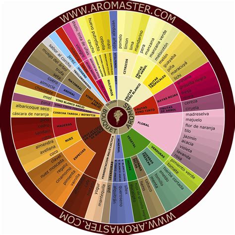 Rueda de aromas del vino blanco