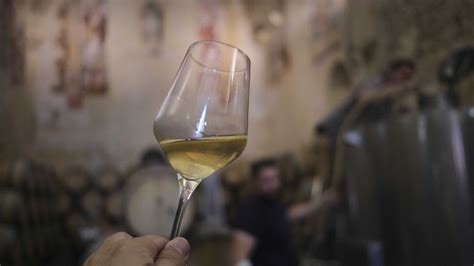 Vinos locales de la Serranía de Ronda