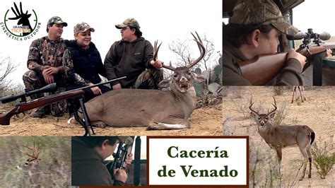 Caza de venado en la nobleza europea