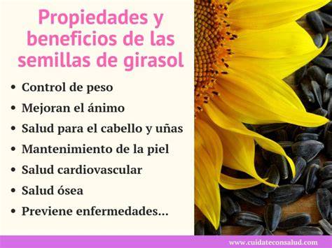 Semillas de girasol y sus beneficios