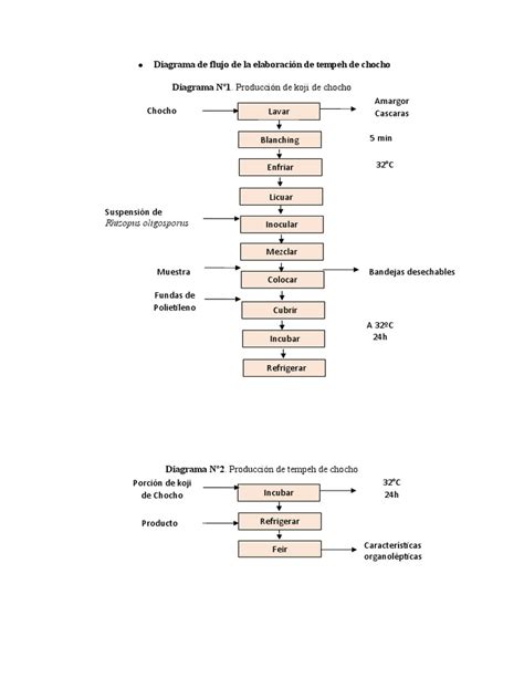 Proceso de elaboración del tempeh