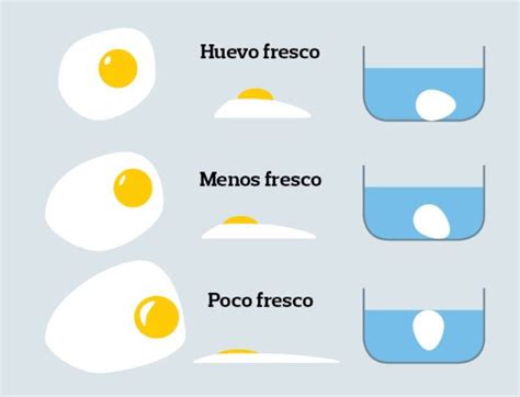 Infografía: Prueba de flotabilidad del huevo