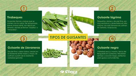 Infografía nutricional de los guisantes y las gambas