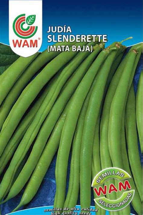 Judías de mata baja y de enrame