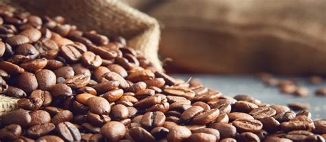 Granos de café de especialidad