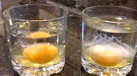 ejemplos gráficos de diferentes interpretaciones al romper un huevo en un vaso